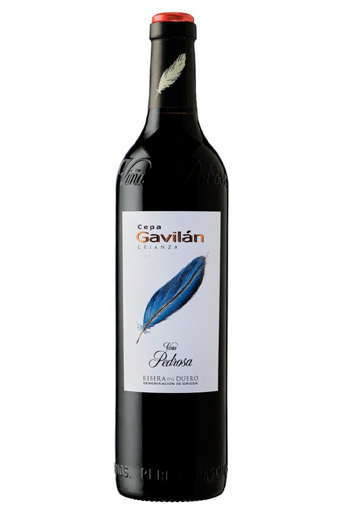 2020 Cepa Gavilan Crianza - Sante.is (7294860460097)