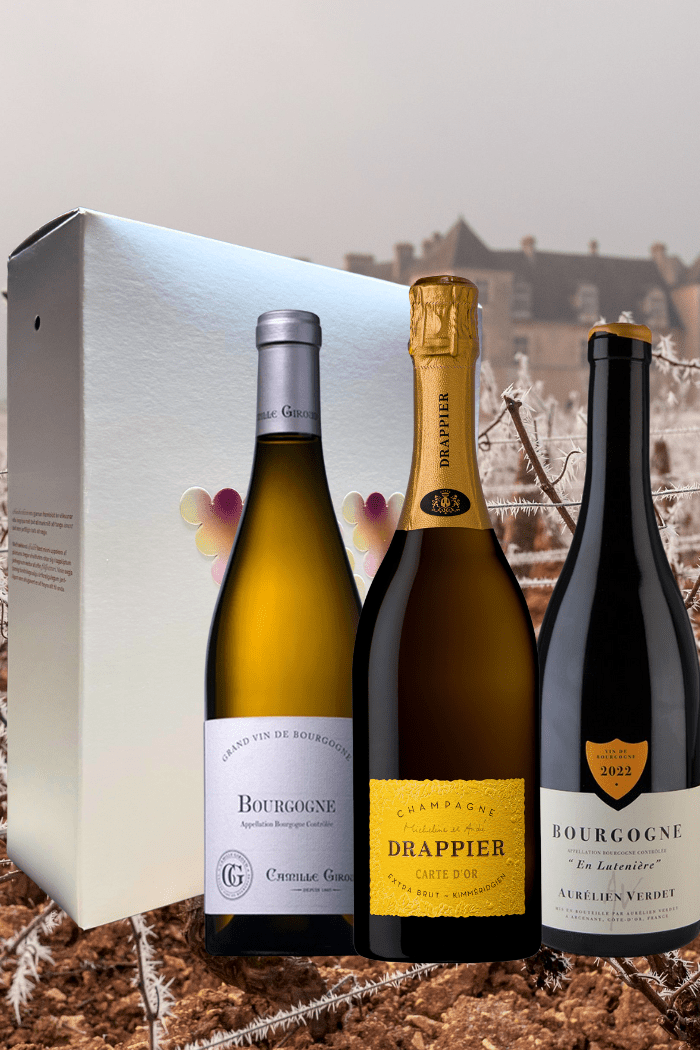 JólaSanté 101 í gjafaöskju - Sante.is