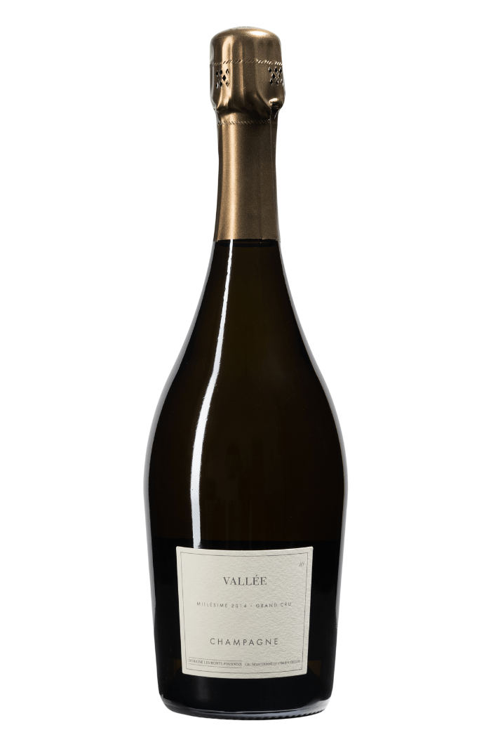 Les Monts Fournois VALLEE Grand Cru Aÿ 2014 - Sante.is