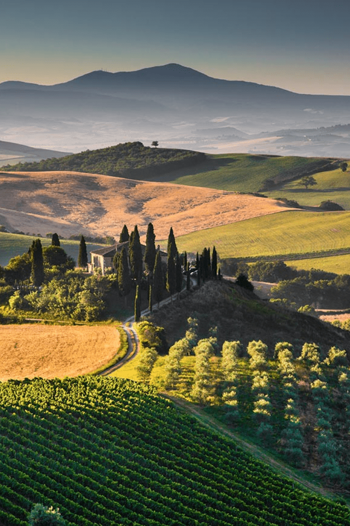 Vínsmakk: Heillandi Heimur Ítalíu - Sante.is