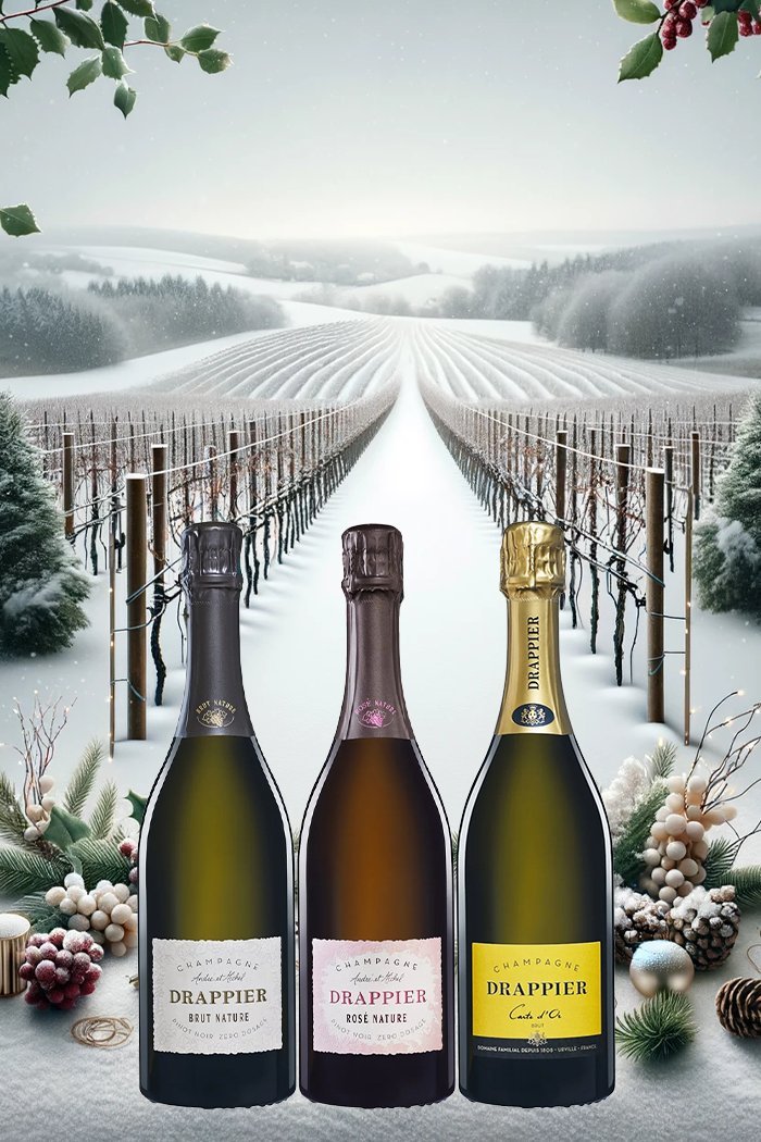 Drappier þrenna í gjafakassa - Sante.is (7039636766785)