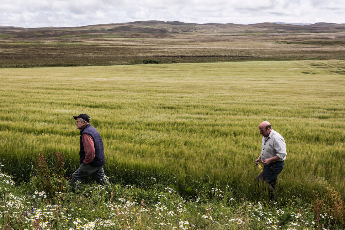 2007 komið aftur - Sante.is
