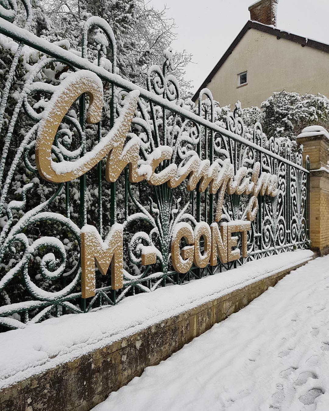 Nýtt ræktunarhús í Champagne - Sante.is