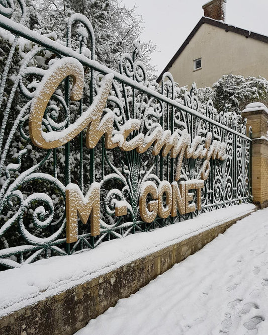 Nýtt ræktunarhús í Champagne - Sante.is