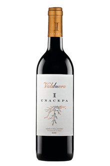 2019 Valduero Una Cepa Doble - 1.5L Magnum - Sante.is