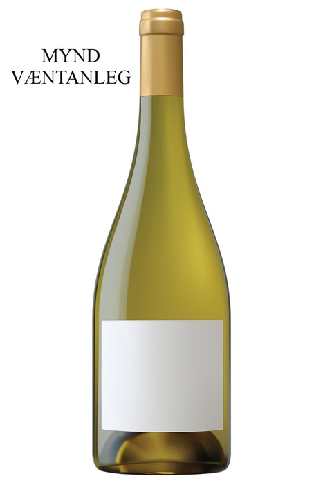 2021 Paul Pillot Chassagne - Montrachet Les Mazures - Sante.is (7363997564993)