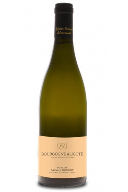 2021 Sylvain Dussort Bourgogne Aligote - Sante.is (7269195481153)