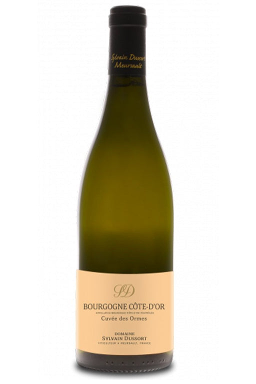 2021 Sylvain Dussort Bourgogne Blanc Cote d'Or Cuvée des Ormes - Sante.is (7269196365889)