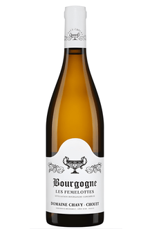 2022 Chavy - Chouet Bourgogne Blanc Les Femelottes - Sante.is