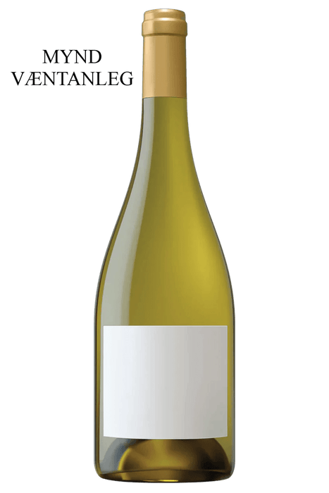 2022 Etienne Sauzet Puligny Montrachet 1er Cru Les Combettes - Sante.is (7290807877697)