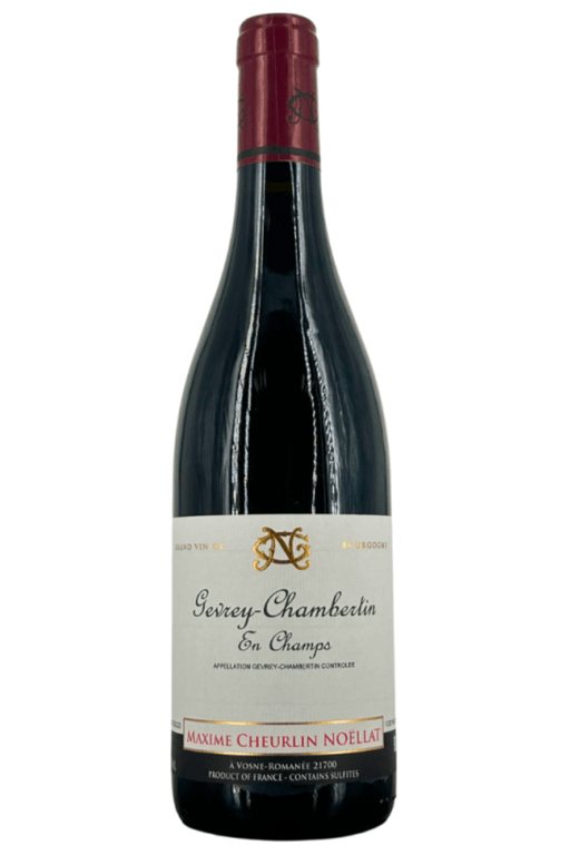 2022 Georges Noëllat Gevrey - Chambertin En Champs - Sante.is (6946468429889)