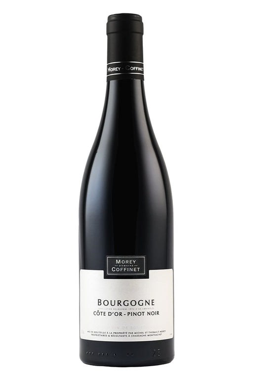 2022 Morey - Coffinet Bourgogne Pinot Noir Cote d'Or - Sante.is (6948548608065)