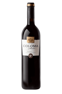 2023 Coloma Merlot Selección - Sante.is