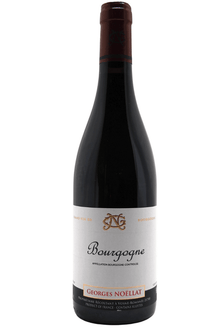 2023 Georges Noëllat Bourgogne - Sante.is