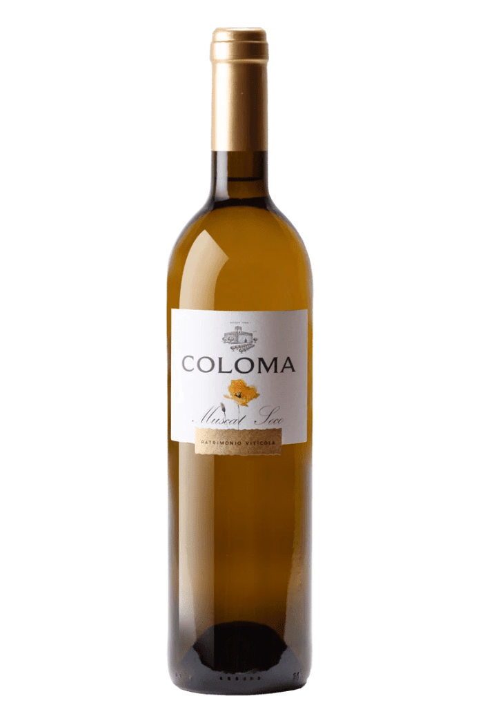 2024 Coloma Muscat - Sante.is