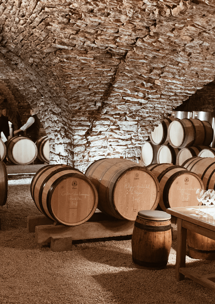 Búrgúndí 303 – Grand Cru, krúnudjásn Búrgúndí / 25. nóvember - Sante.is