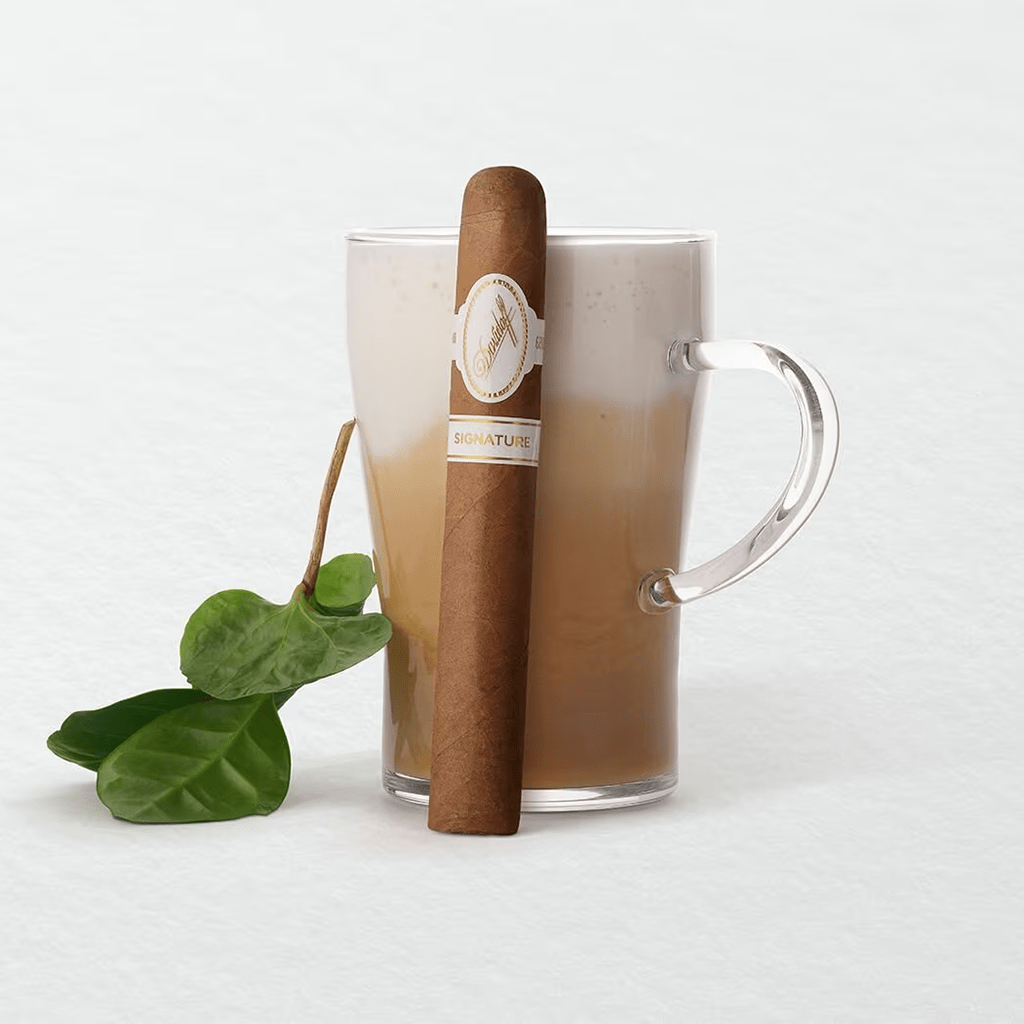 Davidoff Signature 6000