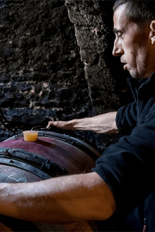 Duroché - GULL - Sante.is