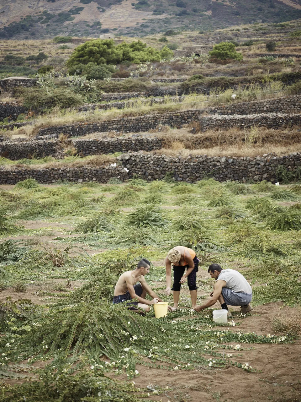 PANTELLERIA