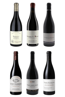 Inngangur að Búrgúndí - fyrir lengra komna - Sante.is