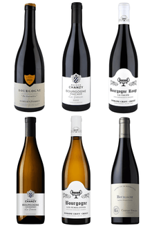 Inngangur að Búrgúndí / Rautt & Hvítt - Sante.is