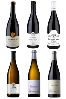 Inngangur að Búrgúndí / Rautt & Hvítt - Sante.is