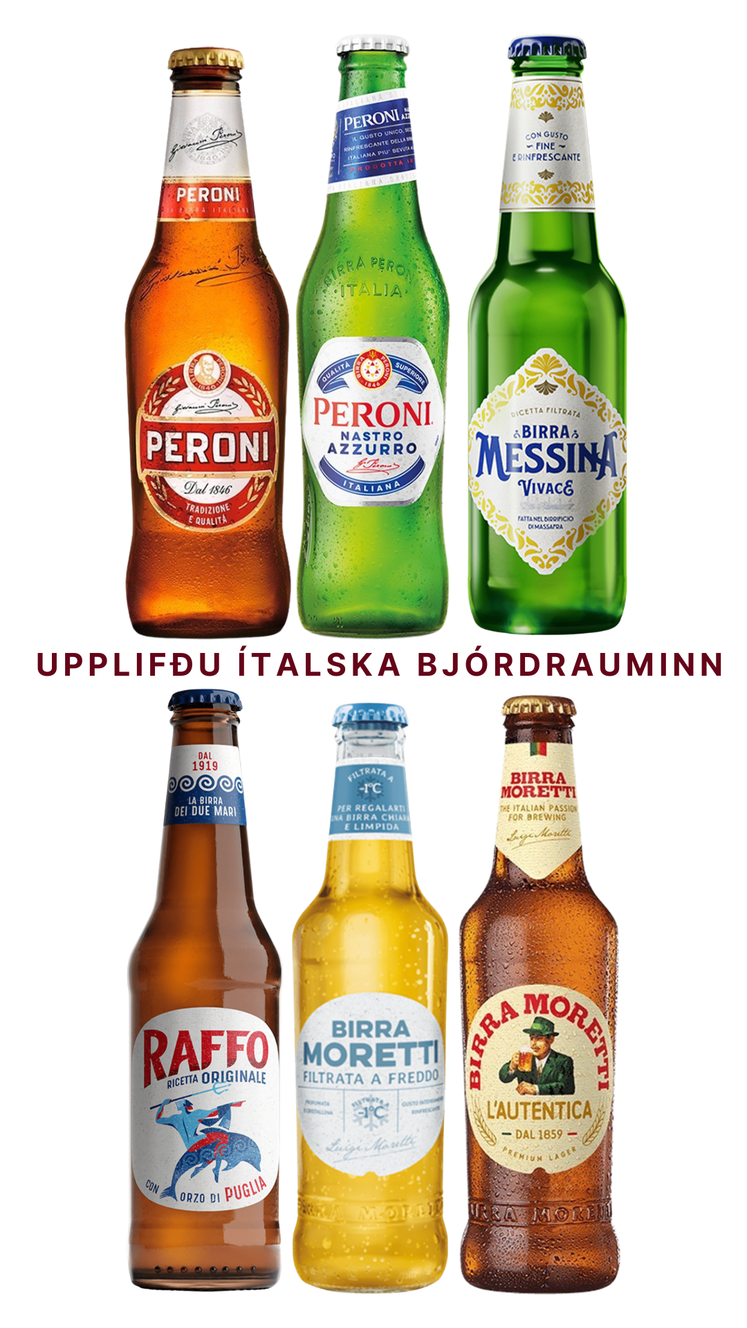 Ítalski bjórdraumurinn / 24 flöskur - 6 tegundir - Sante.is