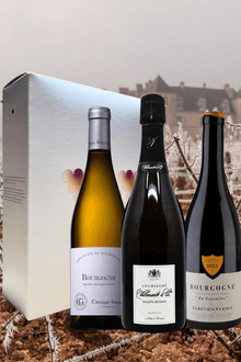 JólaSanté 101 í gjafaöskju - Sante.is