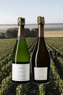 Les Monts Fournois Tvenna: Ay & Chouilly Grand Cru - Sante.is