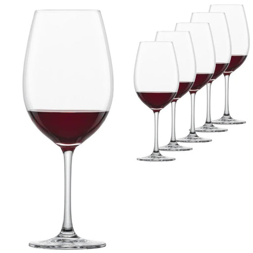 Schott Zwiesel Invento Rauð - og Hvítvínsglas - 6stk í pakka - Sante.is (14935168942449)