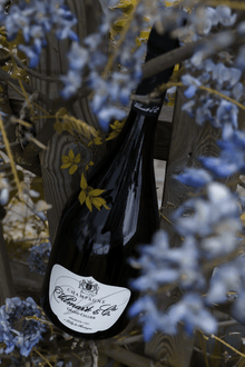 Vilmart & Cie Grand Cellier 1er Cru Magnum - 1.5 lítra flaska - Sante.is