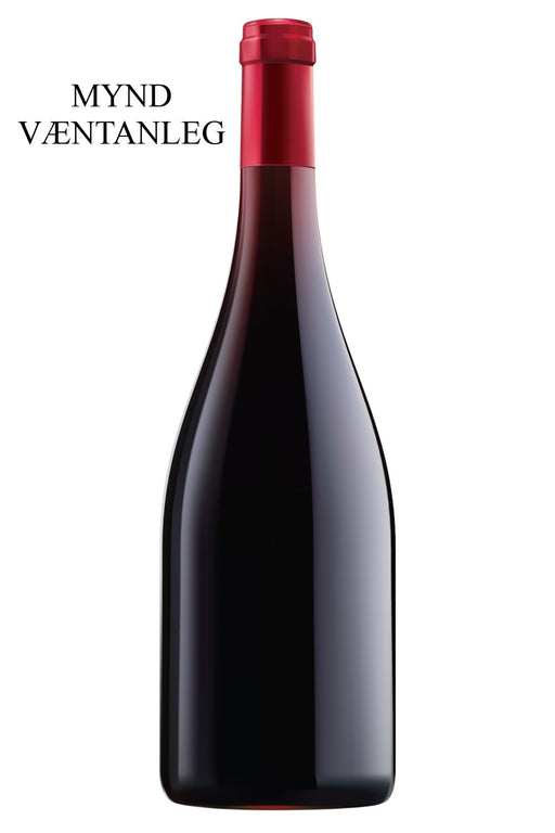 2019 Georges Noellat Cote de Nuits Villages Magnum 1,5 l/tra flaska - Sante.is (6946466201665)