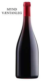 2020 Georges Noellat Vosne-Romanee Jeroboam - Sante.is (6946482880577)