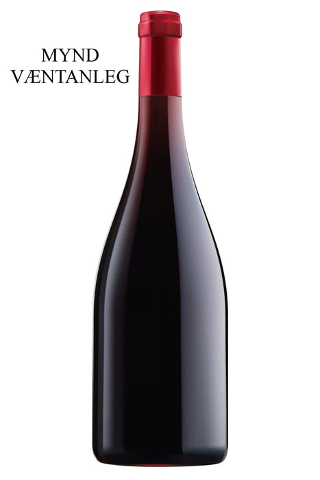 2022 Morey-Coffinet Bourgogne Pinot Noir Cote d'Or - Sante.is (6948548608065)