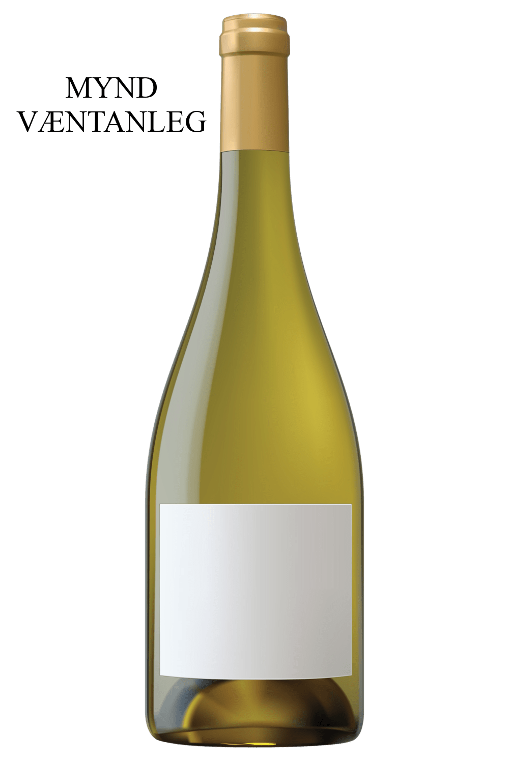 2023 Paul Pillot Saint - Aubin 1er Cru Les Pitangerets - Sante.is