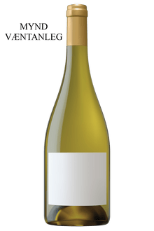 2023 Paul Pillot Saint - Aubin 1er Cru Les Pitangerets - Sante.is