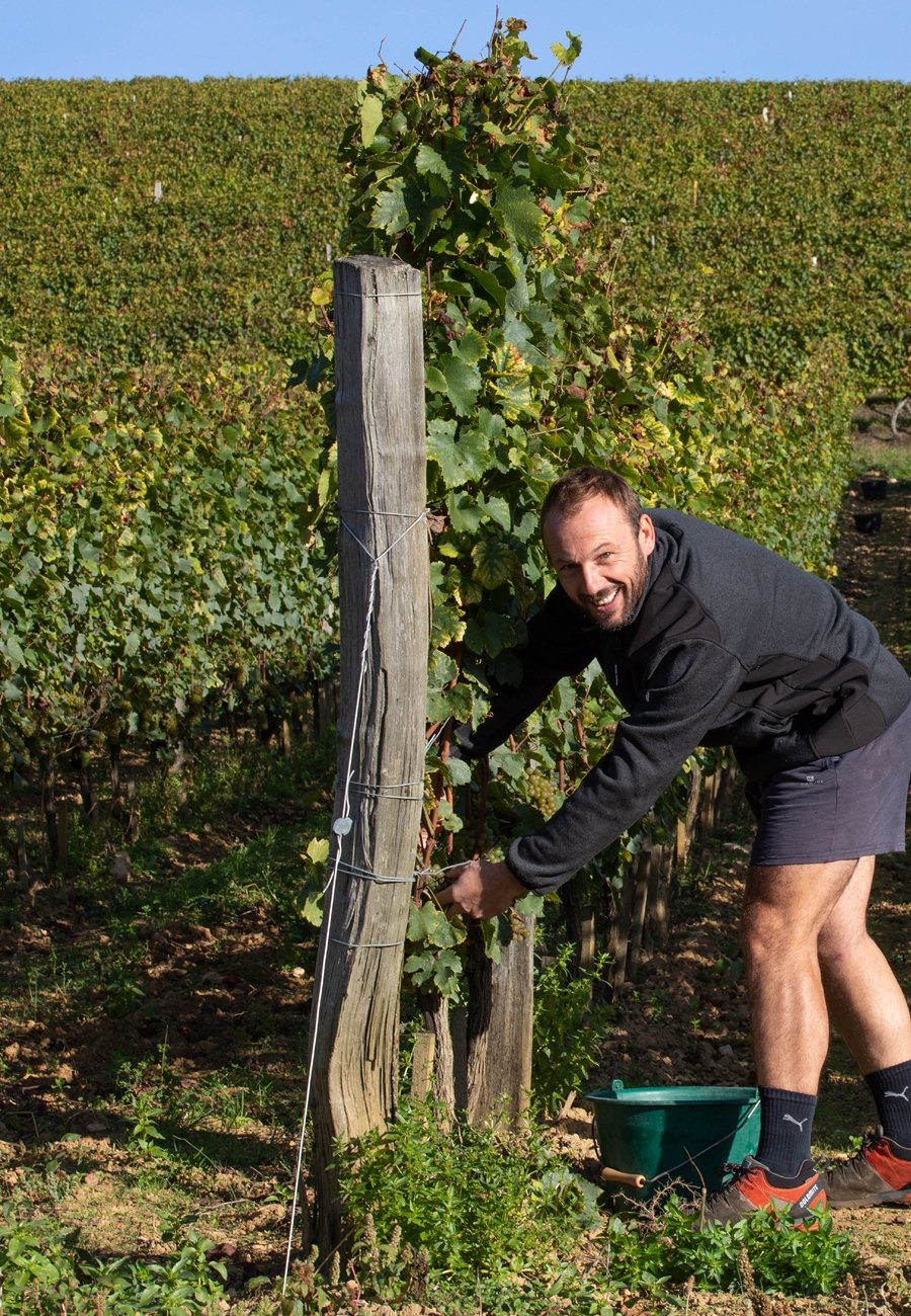 Aurelien Verdet Morey-Saint-Denis tvenna - Sante.is (6960539500609)